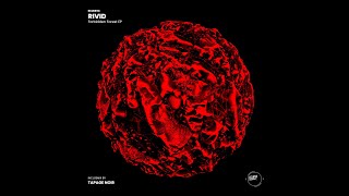RiVid - Forbidden Forest (Original Mix)