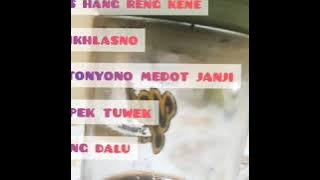 FULL ALBUM NEW KENDEDES 2019