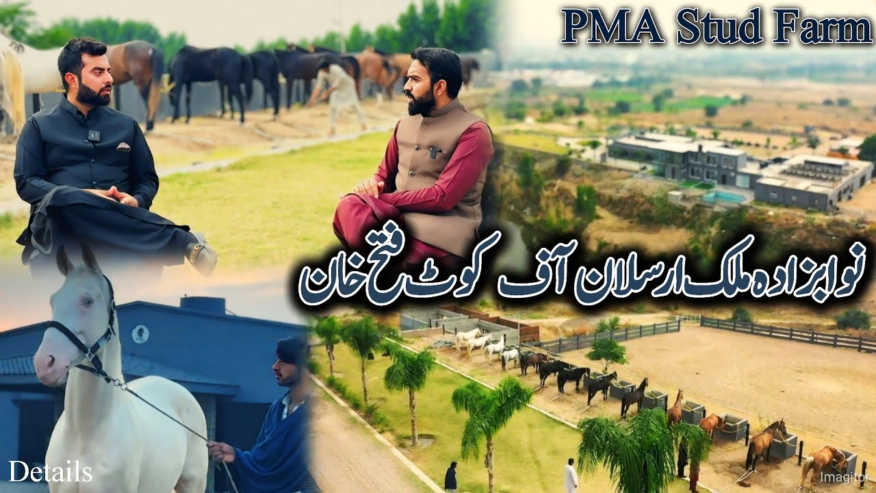 Навабзада Малик Арслан принц Кот Фатех Хан - Наследие Малика Атта Мухаммада и Неза Бази 2025