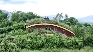 Something Amazing Is Growing On Our Green Roof!