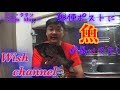 【Wish channel】魚型のペンケースをレビュー byタルトタタン