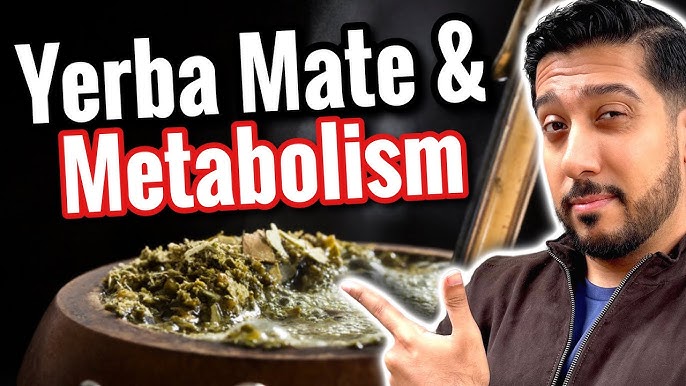 How to Infuse Yerba Mate Tea  Mateína Canada – Mateina Yerba Mate