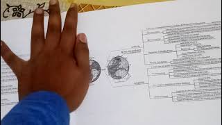 mind map of geography screenshot 1