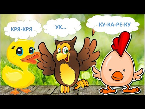 КАК ГОВОРЯТ ПТИЦЫ. Голоса птиц. Развивающее видео для детей. Карточки Домана.