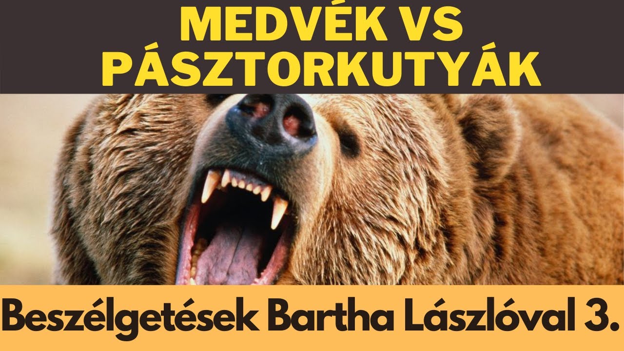 Hadházi László 4. rész | 3. évad | Lakástalkshow Lovász Lászlóval