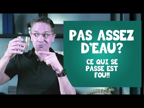 Vidéo: Où Pouvez-vous Aller Après Avoir Passé La Physique