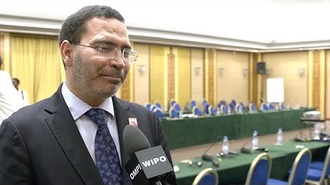 WIPO DG, Morocco Call for Ratification of "Books for Blind" Treaty