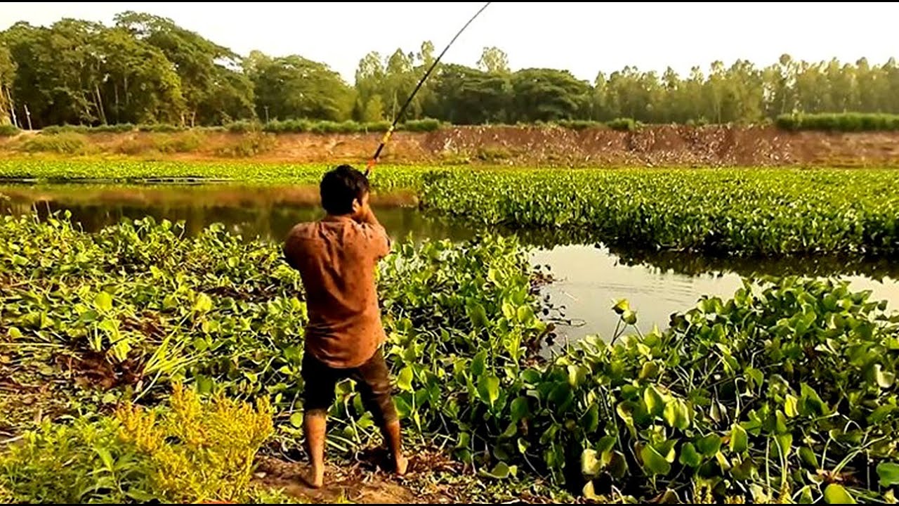 Best fishing | |  Traditional Hook hunting | |  