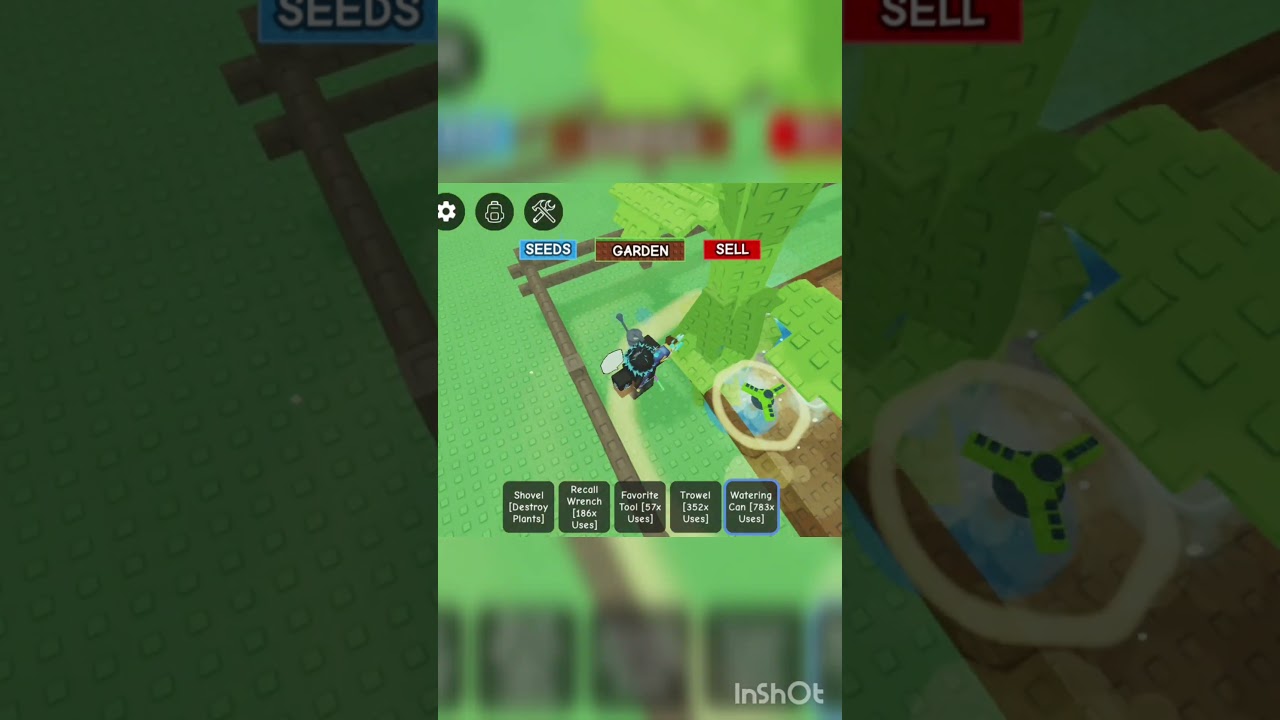 Sunflower from normal pack!!!!!!!! 