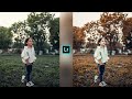 Grey And Gold Effect Lightroom Photo Editing | Photo Editing Tutorial | Lightroom App Photo Editing