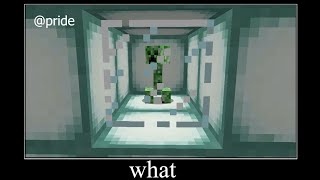 WAIT WHAT (Minecraft) #17 #shorts