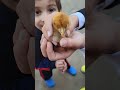 New born chicken's baby# Help us to name her# comment below🤗