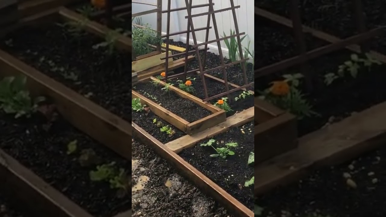 How Your Replacement Sprinkler Sprayer Head Should Work