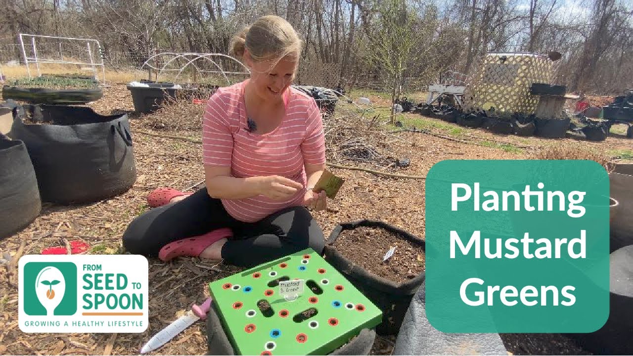 🌱 Why Mustard Greens Are Great to Grow! (even if you don’t like the taste of mustard! 🤣)