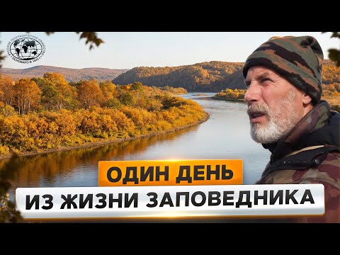 Один день из жизни сотрудника Кроноцкого заповедника | @Русское географическое