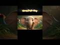 Kids Cartoon Jungle Story | #newyork #disneystory #usa #bedtimestories #animals #cartoon #kidsstory