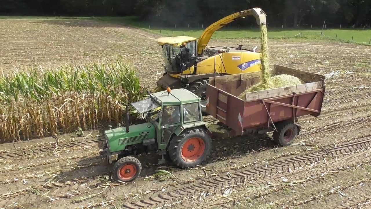 Maishakselen in Alstätte