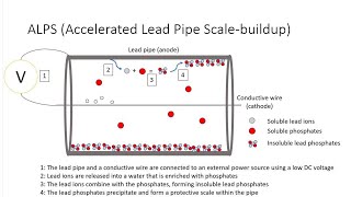 Making lead pipes safe (video)