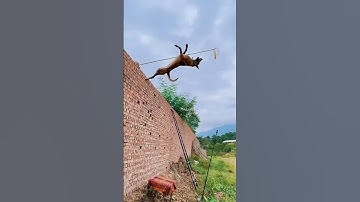 It