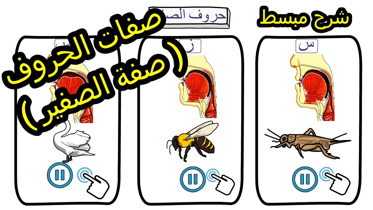 لسر في (السين والصاد والزاي): كيف تتقن صفة الصفير لتلاوة قوية؟