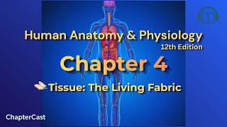 Tissue Types Explained in 10 Minutes | Anatomy & Physiology Chapter 4