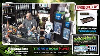Live With The Grow Boss COCO VS HYDRO CHALLENGE FINISHING THE EXPERIMENT IS COCO HYDRO - THE ANSWER