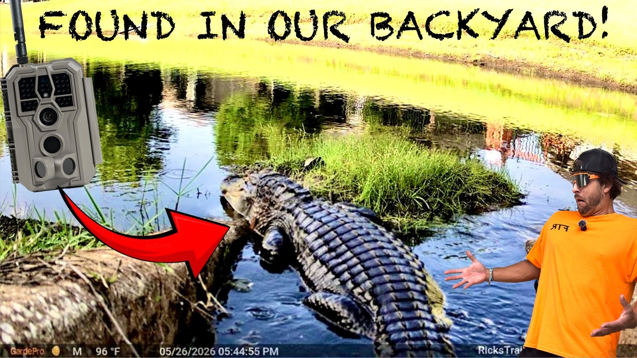 🔥 WHY WE *HAD TO GET* a 2nd GardePro Link Long-Range (3000ft) Wireless Trail Camera System!