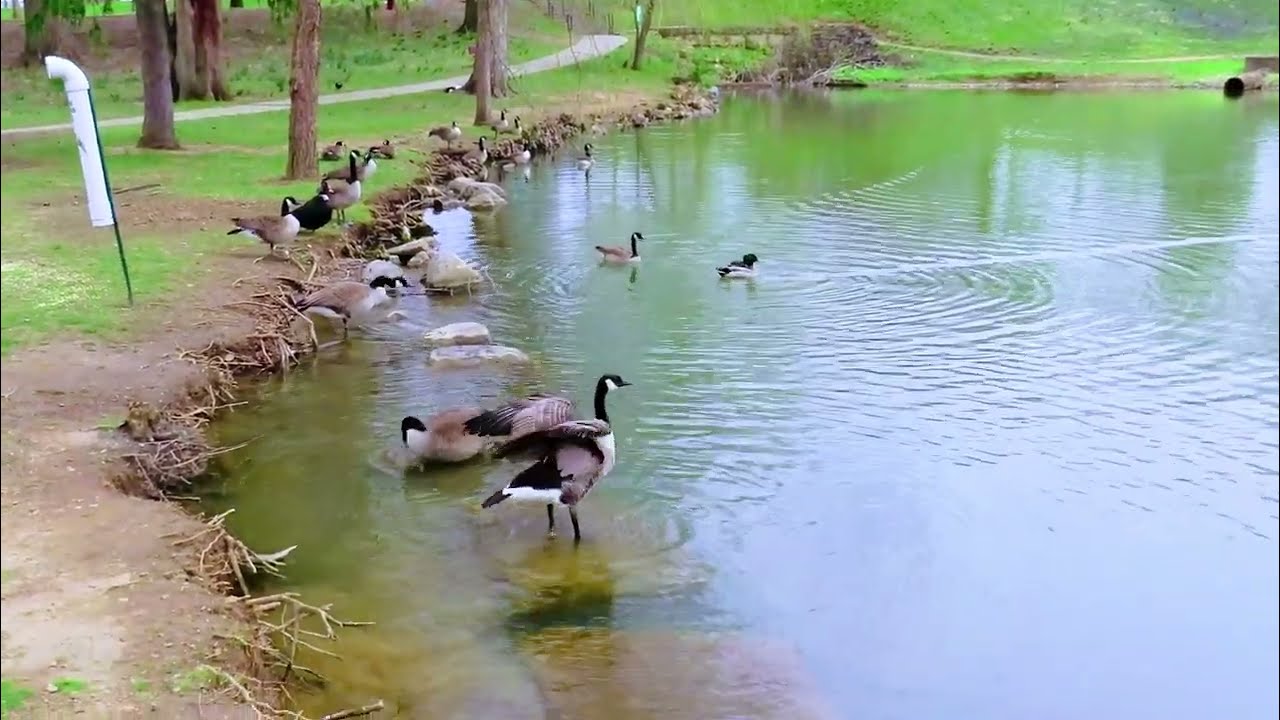 Chillicothe, Ohio Yoctangee Park Historic First Capital District