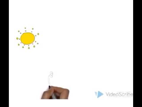 Melting Phase Change