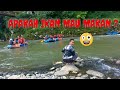 cari lumut dan ulat batu untuk umpan mancing di sungai serayu sekalian nonton hiburan arung jeram