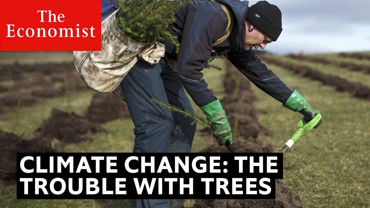 Climate change: the trouble with trees