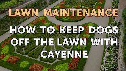 How to Keep Dogs Off the Lawn With Cayenne