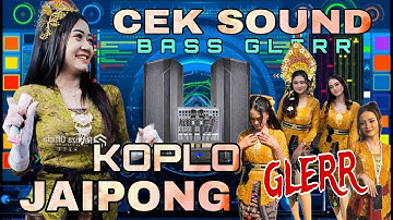 DJ CEK SOUND STYLE || JAIPONG KOPLO FULL BASS JERNIH GLERR PALING HOREG - TEAM SPESIAL 2025