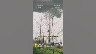wish you were here|Dhanju | Bir | Daaku | Visualizer 🎵