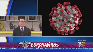 Infectious Disease Specialist: COVID-19 Spreads Like Common Cold, But Is Deadlier