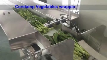 Horizontal fresh vegetables flow packing machine,flow wrapping machine