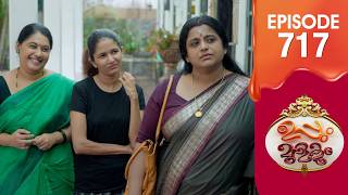 Uppum Mulakum 3 | Flowers | EP #717