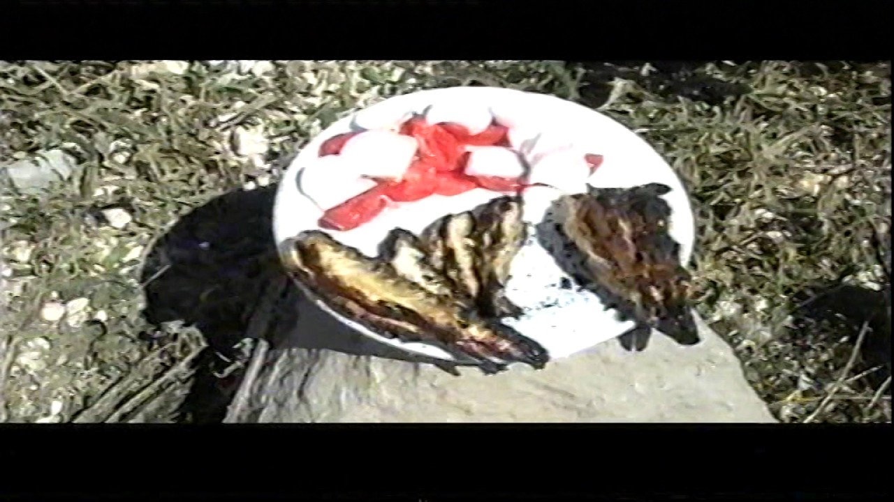 Bereketli Kasabası 6.9.2016 çeşitli görüntüler Kamera Ismet Karakoç