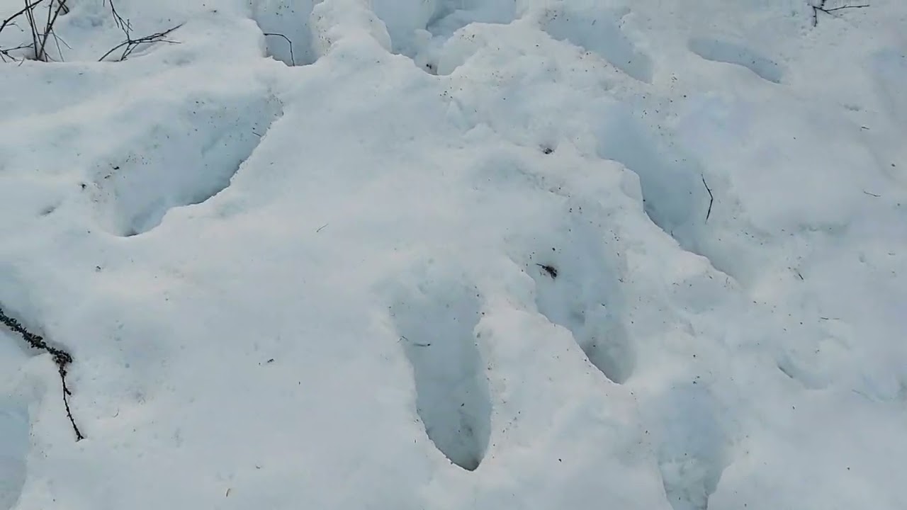 Vanha autoni ja höpötystä.