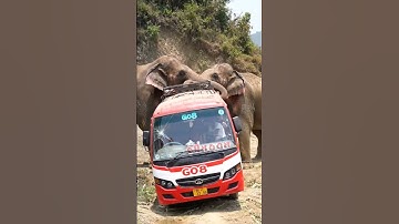 🐘 Viral AI Jungle Scene: Elephant Pushes Bus Over the Edge | Shocking Viral Video