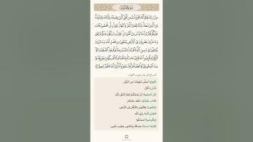 السراج في بيان غريب القران سورة المزمل 4 تلاوة الشيخ سعد الغامدي