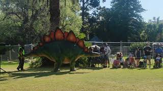 DinoFest Melbourne (1)