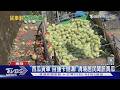 「西瓜貨車」自撞卡側溝! 清境居民聞訊買瓜｜TVBS新聞 @TVBSNEWS01