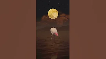 نغمه من الطبيعه 