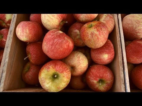 Help Me, BHG: What's The No. 1 Question to Ask At a Farmer's Market?