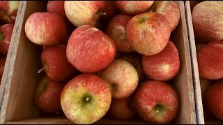 Help Me, BHG: What's The No. 1 Question to Ask At a Farmer's Market?
