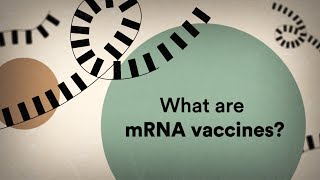 What are mRNA vaccines?