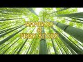 Bamboo and the Fern Story | A Powerful Lesson in Patience and Growth