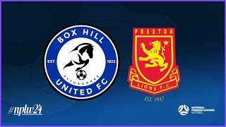 2024 NPLWVIC Round 3: Box Hill United FC v Preston Lions FC