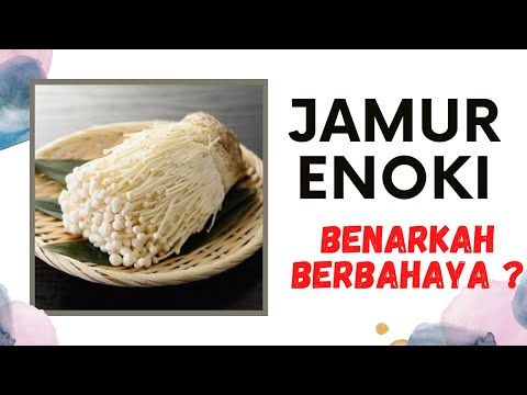 Jamur Enoki Bahaya
